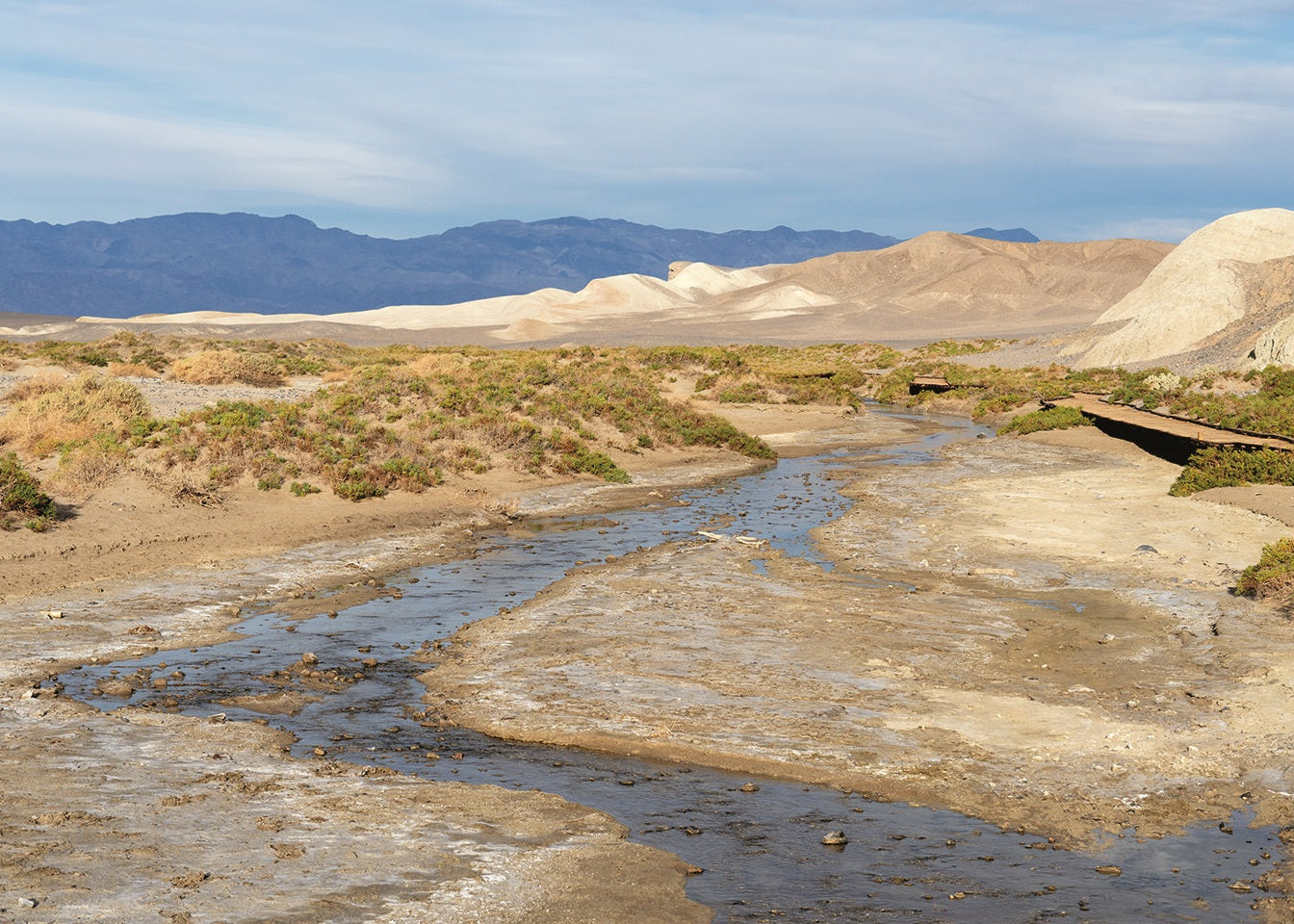 Desert landscape with a small stream and mountains in the background. Salt Creek, Death Valley, California