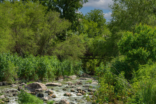 FT25CN420. The Edwards Aquifer of South-Central Texas - An Aquifer Under Stress