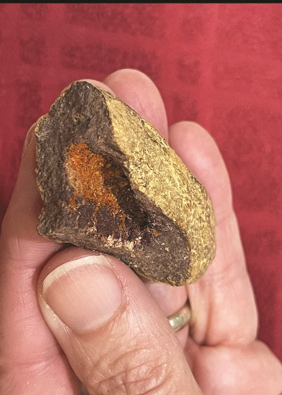 A hand holding a rough, split-colored Brown limonite stone with a dark brown textured outer surface and a golden-yellow interior showing a small orange cavity, set against a red textured background.
