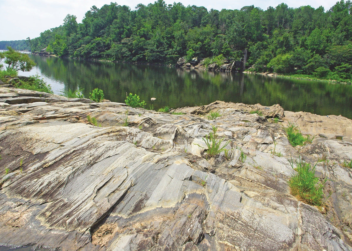 A scenic landscape photograph showing a calm river with green water and a dense forest on the opposite bank, bordered by large, banded gneiss formations in the foreground with small green plants growing through the stone.