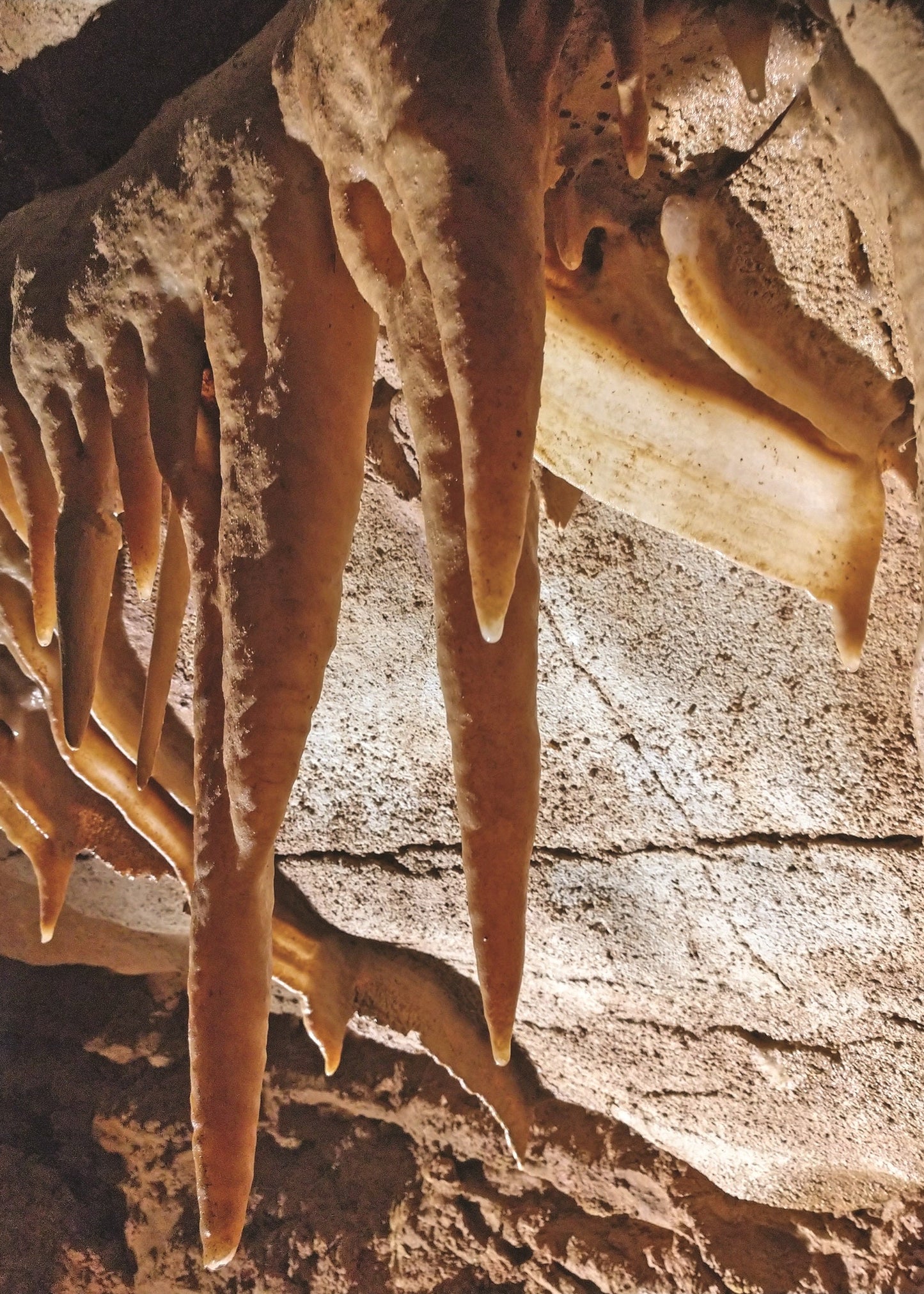 Stalactites and narrow, layered draperies known as cave bacon
are located near the entrance to Big Bone Mountain, Indiana.