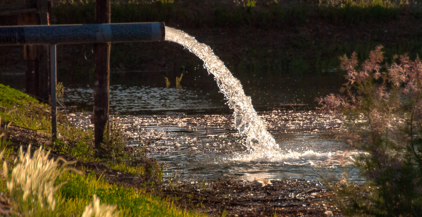 SC25CN502. Aquifer Storage and Recovery Short Course and Field Trip