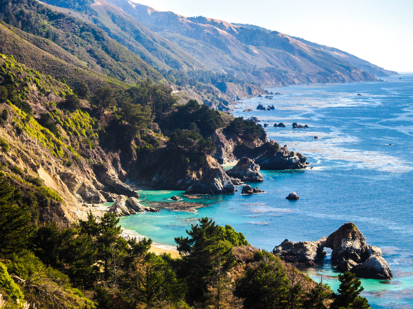 High, vegetation-covered coastline and blue-green water. Western North American Cordillera image.