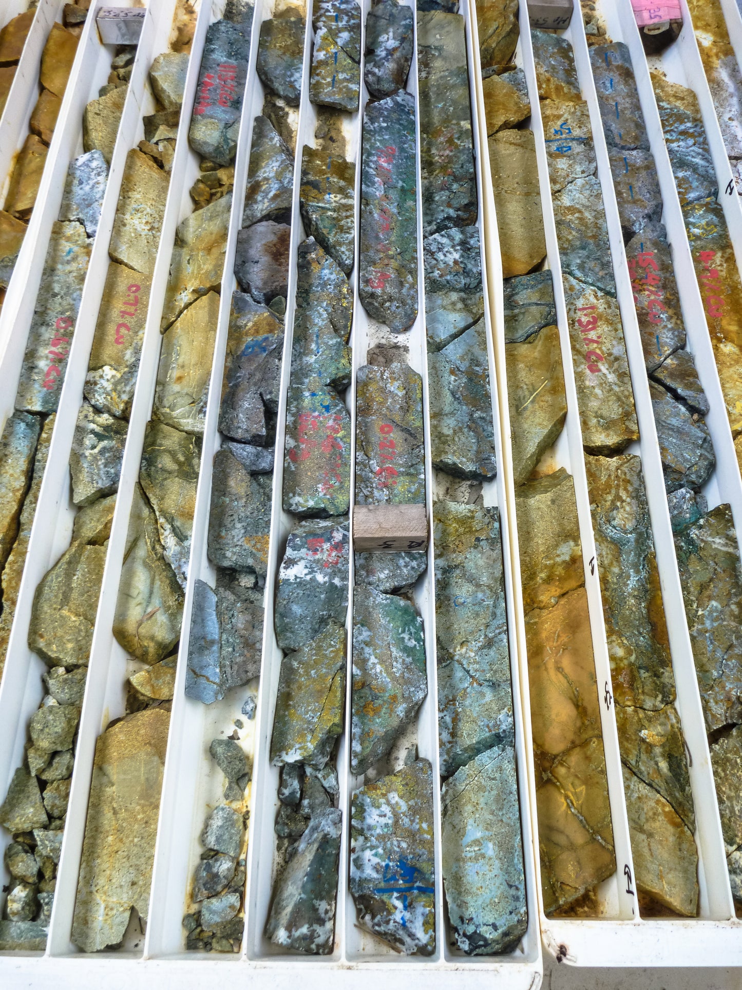 Cores extracted from the earth sit in white trays. CoreNET image.