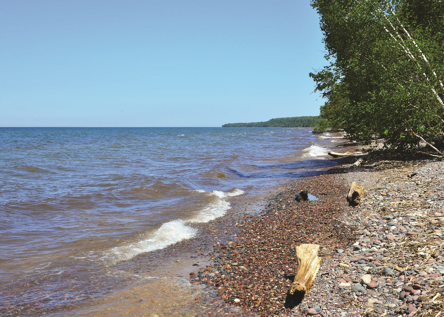 Beach with pebbles and a tree on a clear day in Michigan