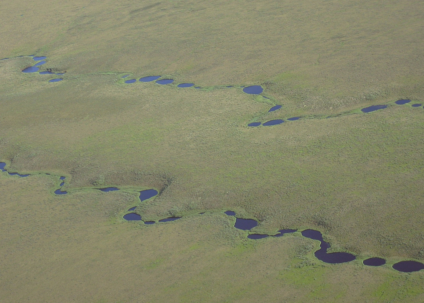 Beaded stream in Alaska. Small pockets of water for a "beaded chain" in green hills 