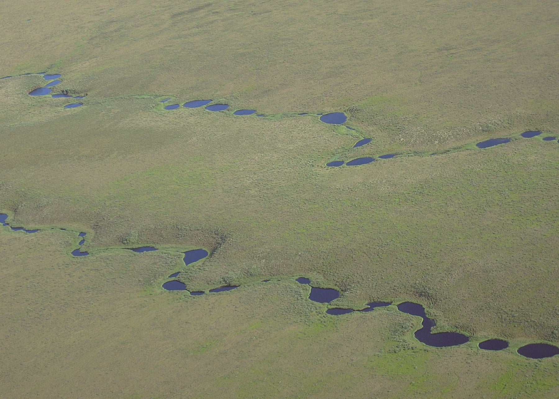 Beaded stream in Alaska. Small pockets of water for a "beaded chain" in green hills 