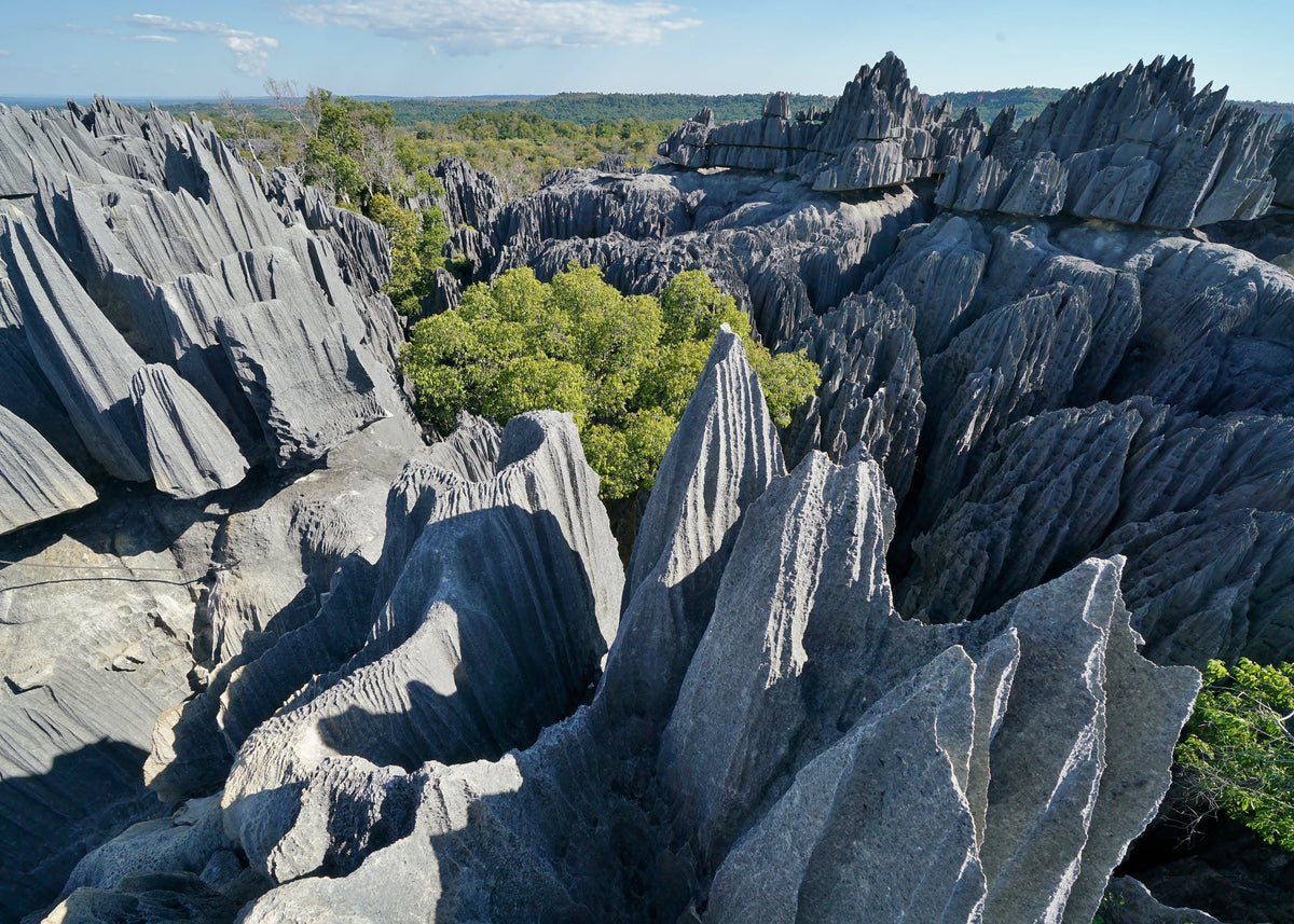 jagged peaks and green trees
