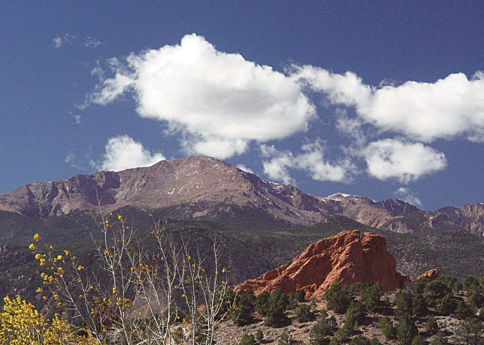 Pikes Peak  with red rocks and a gold aspen tree in the foreground