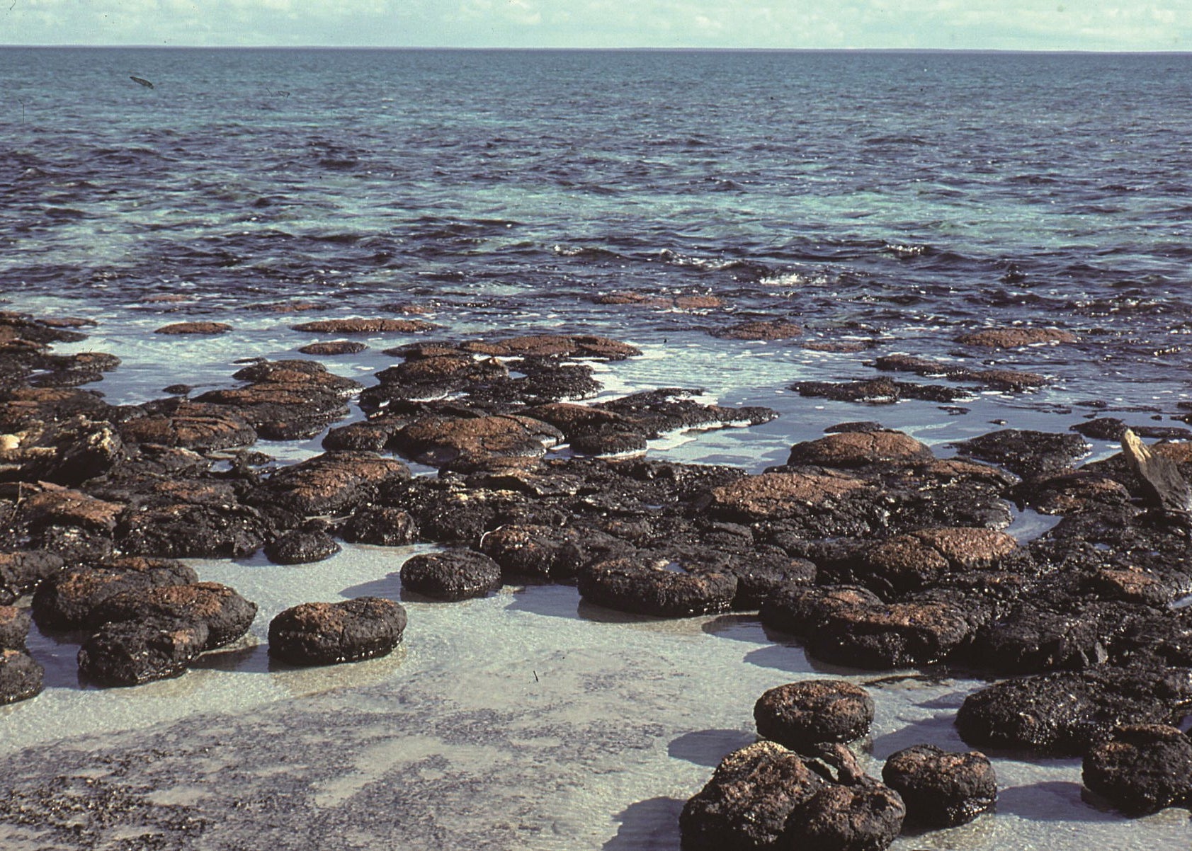 Rocks on a beach with ocean in the background, New Jersey