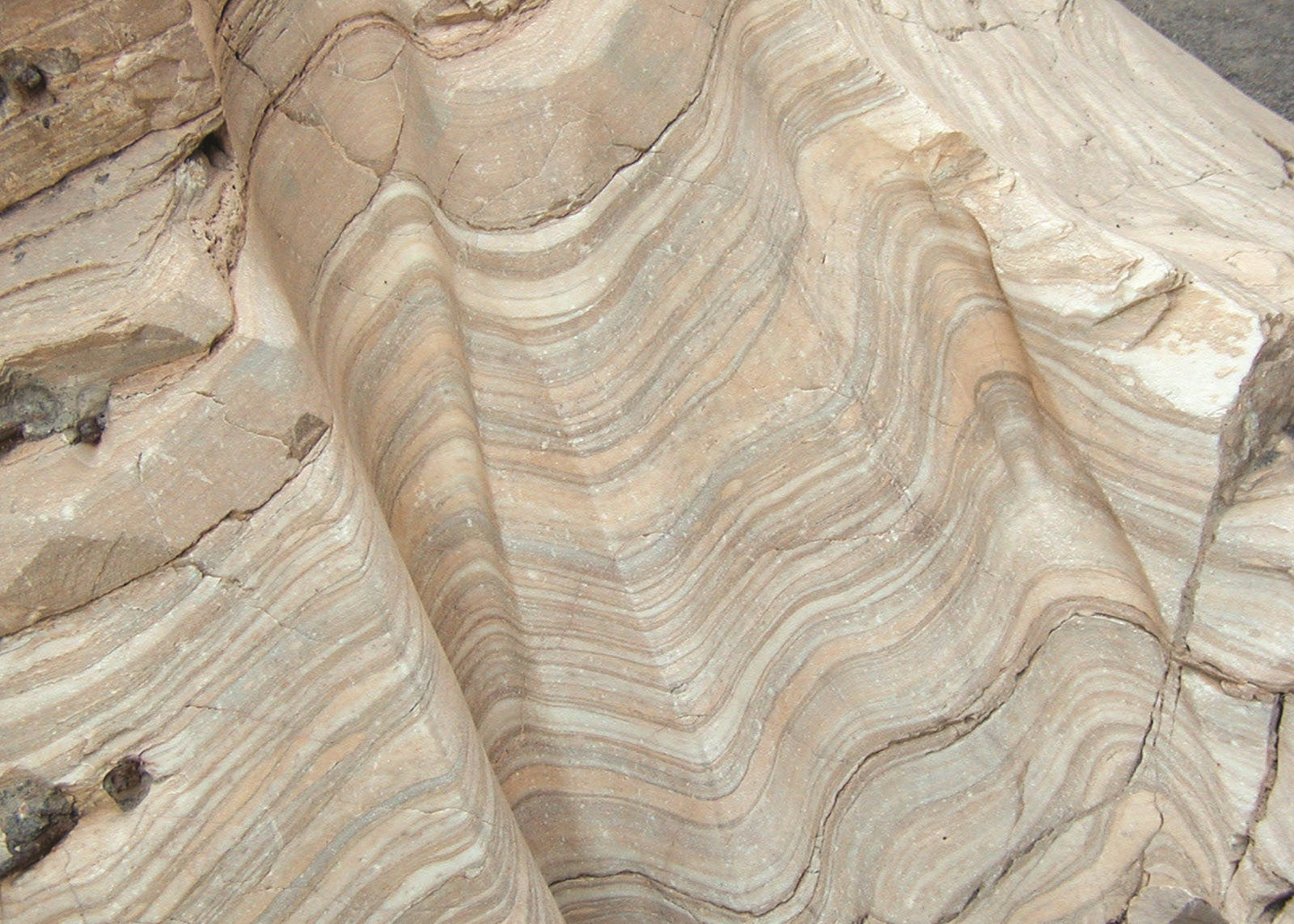 A close-up of a layered rock formation with wavy horizontal bands in beige, tan, cream, and light gray tones.