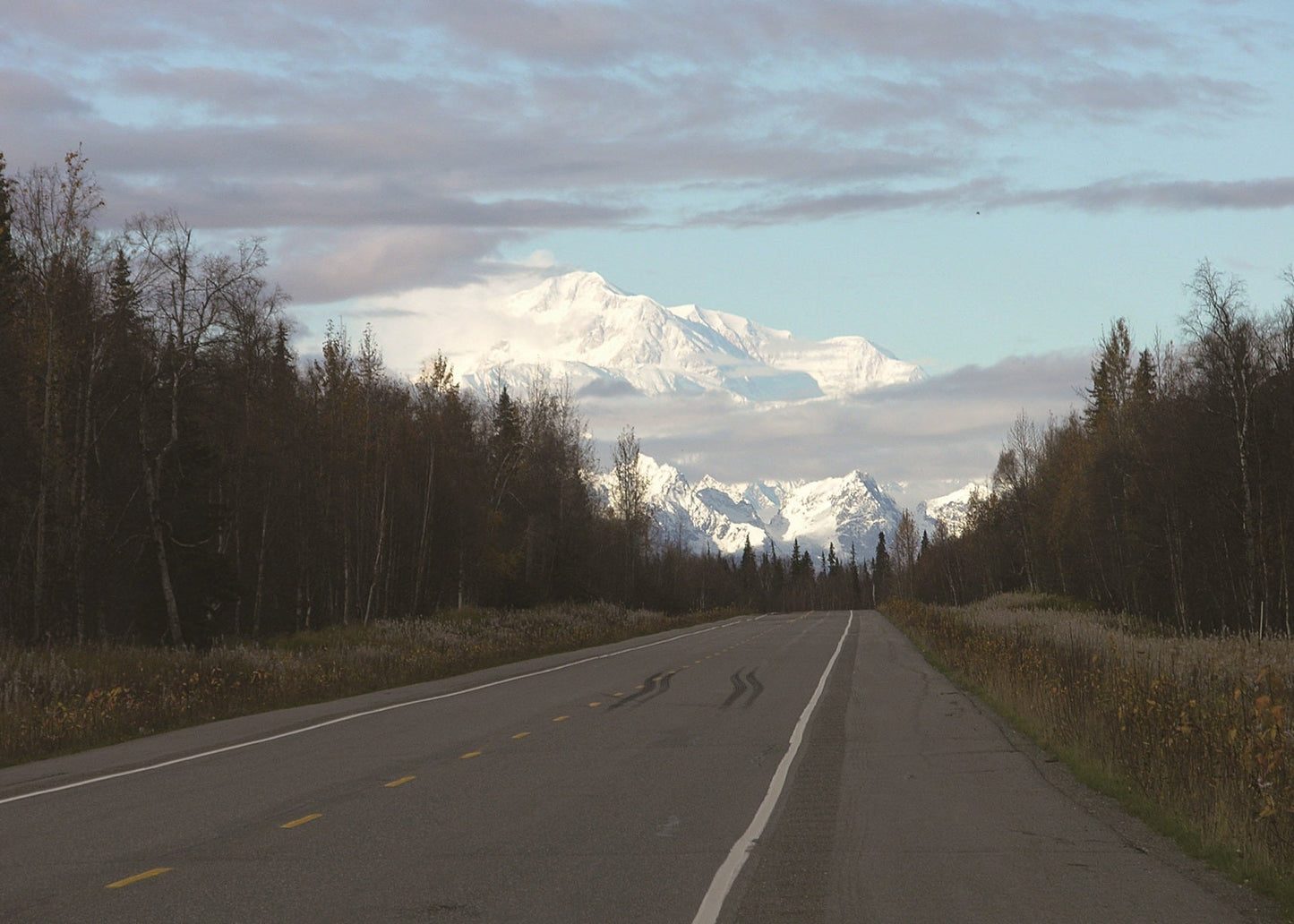 Denali in the distance on the Parks Highway 