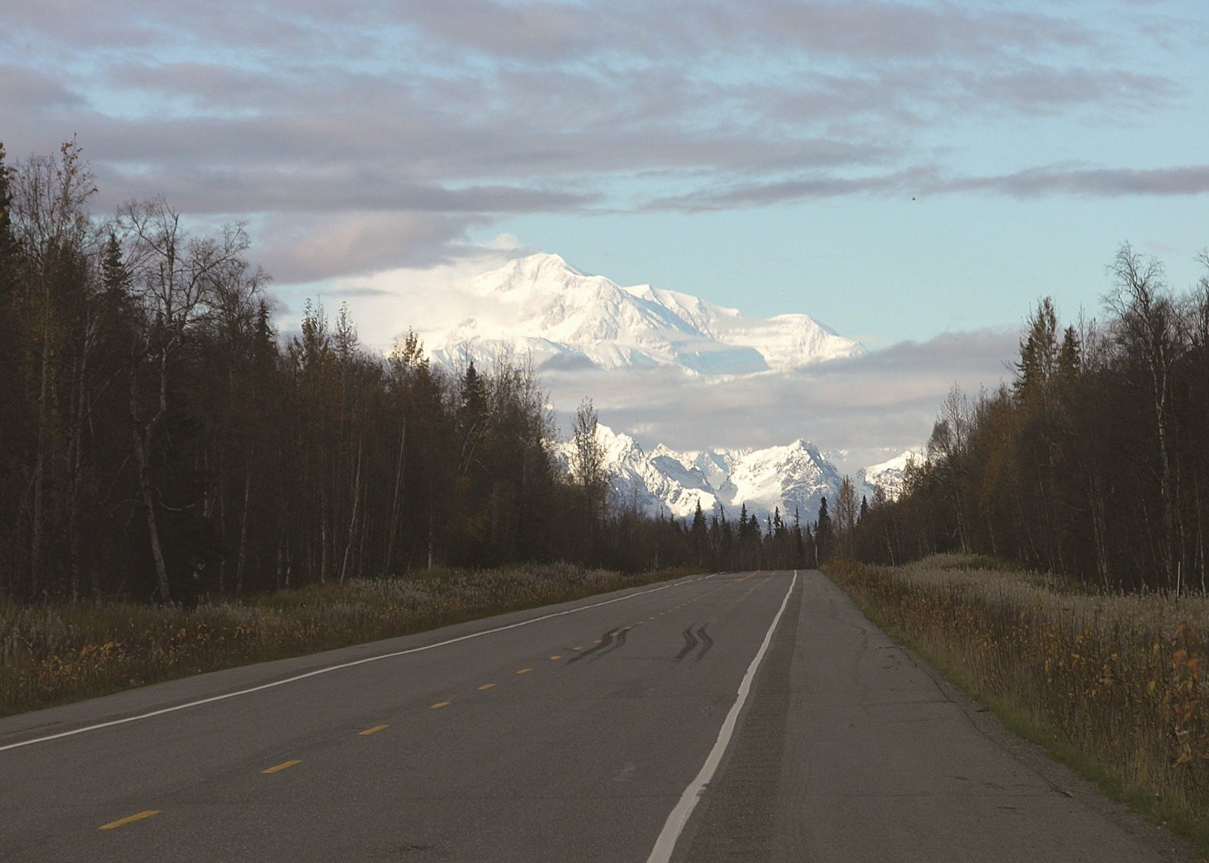 Denali in the distance on the Parks Highway 