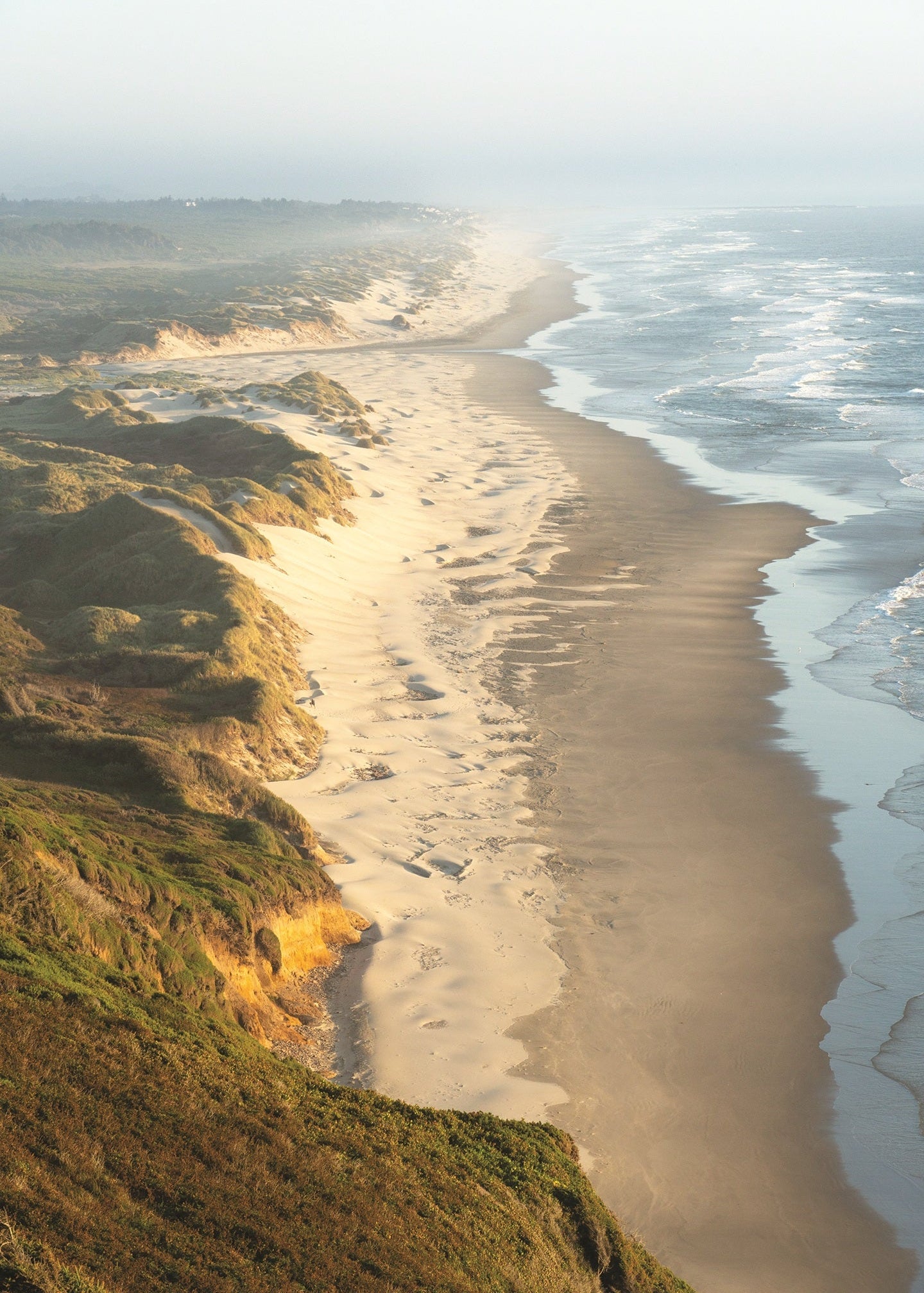 sandy coastal dunes, oregon