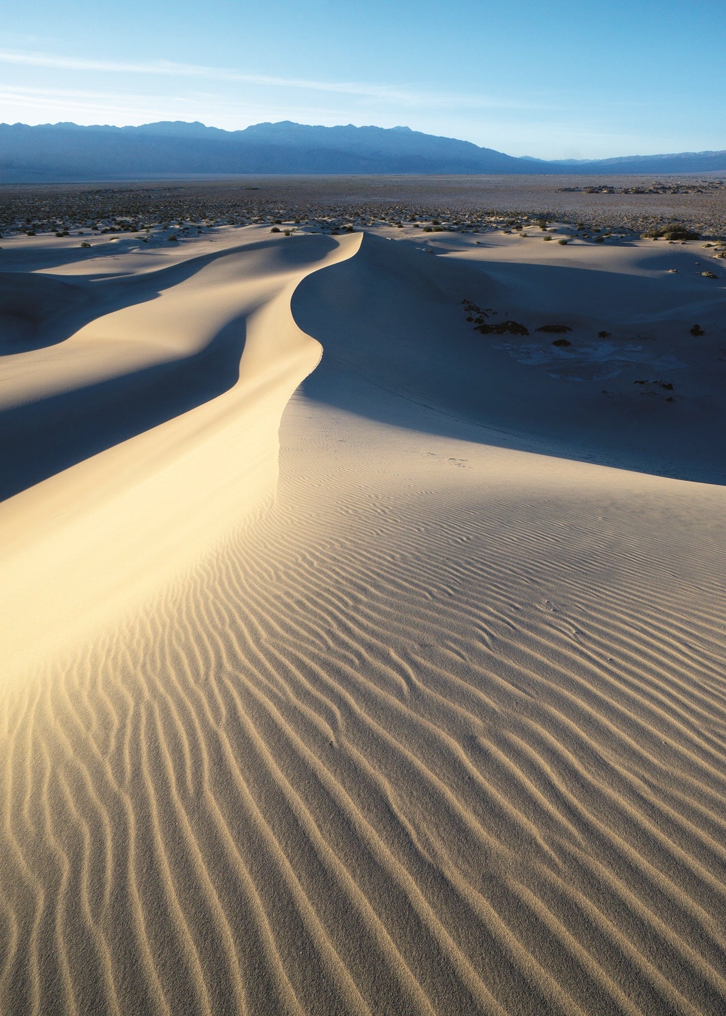 Sand dunes in a desert landscape with mountains in the background. Mesquite, Death Valley, California 