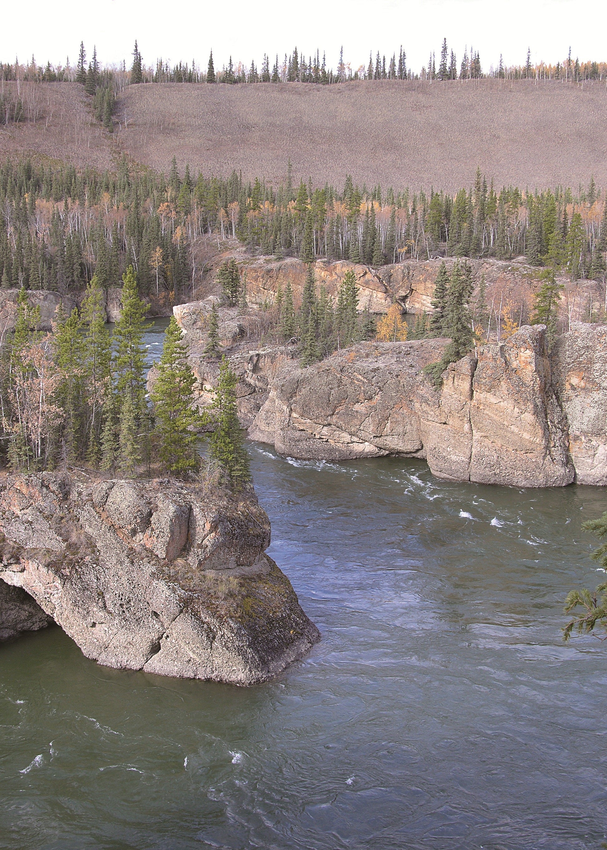 Finger Rapids, Alaska. River flowing between pine-laden rocks