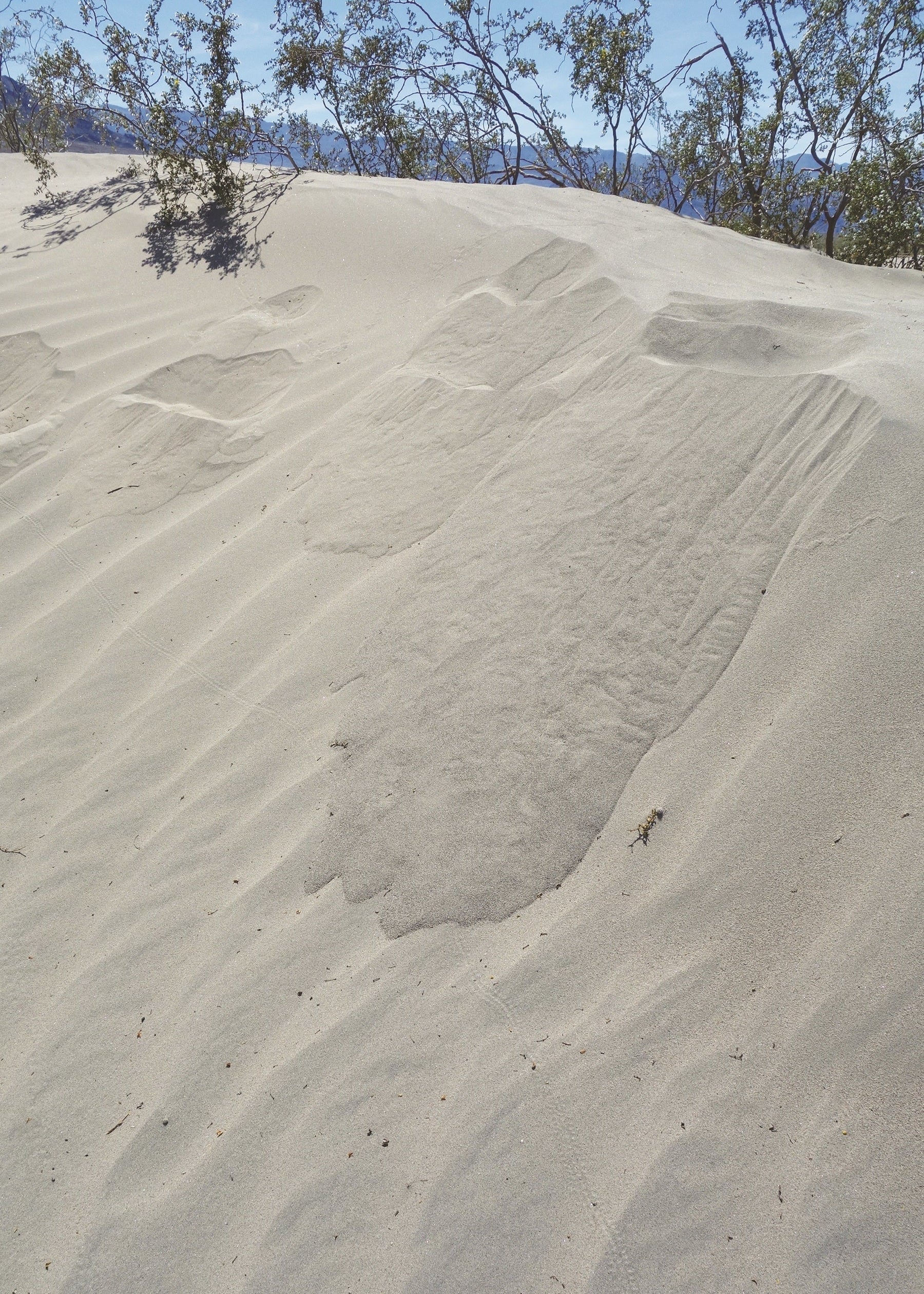 sand dune, southern california 