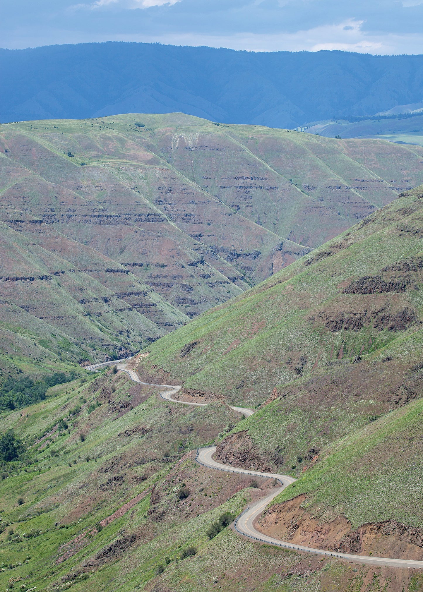 Lava flows of the Columbia River Basalt Group in northern Oregon