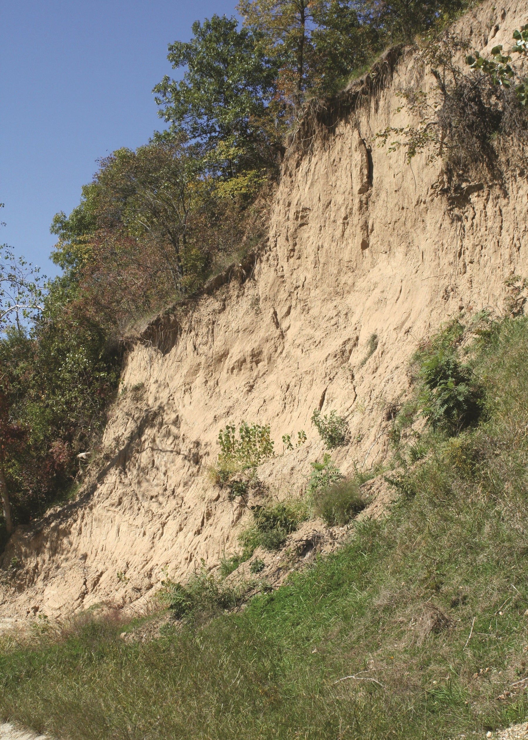 Eroded cliff face with greenery on a clear day, Missouri