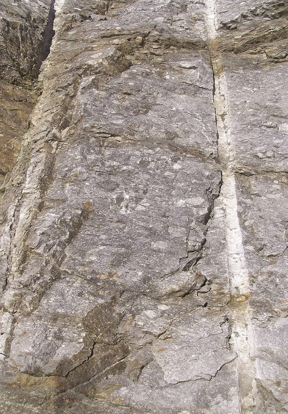 A close-up of a rough gray rock surface with visible texture, cracks, and a pale vertical streak running through it.