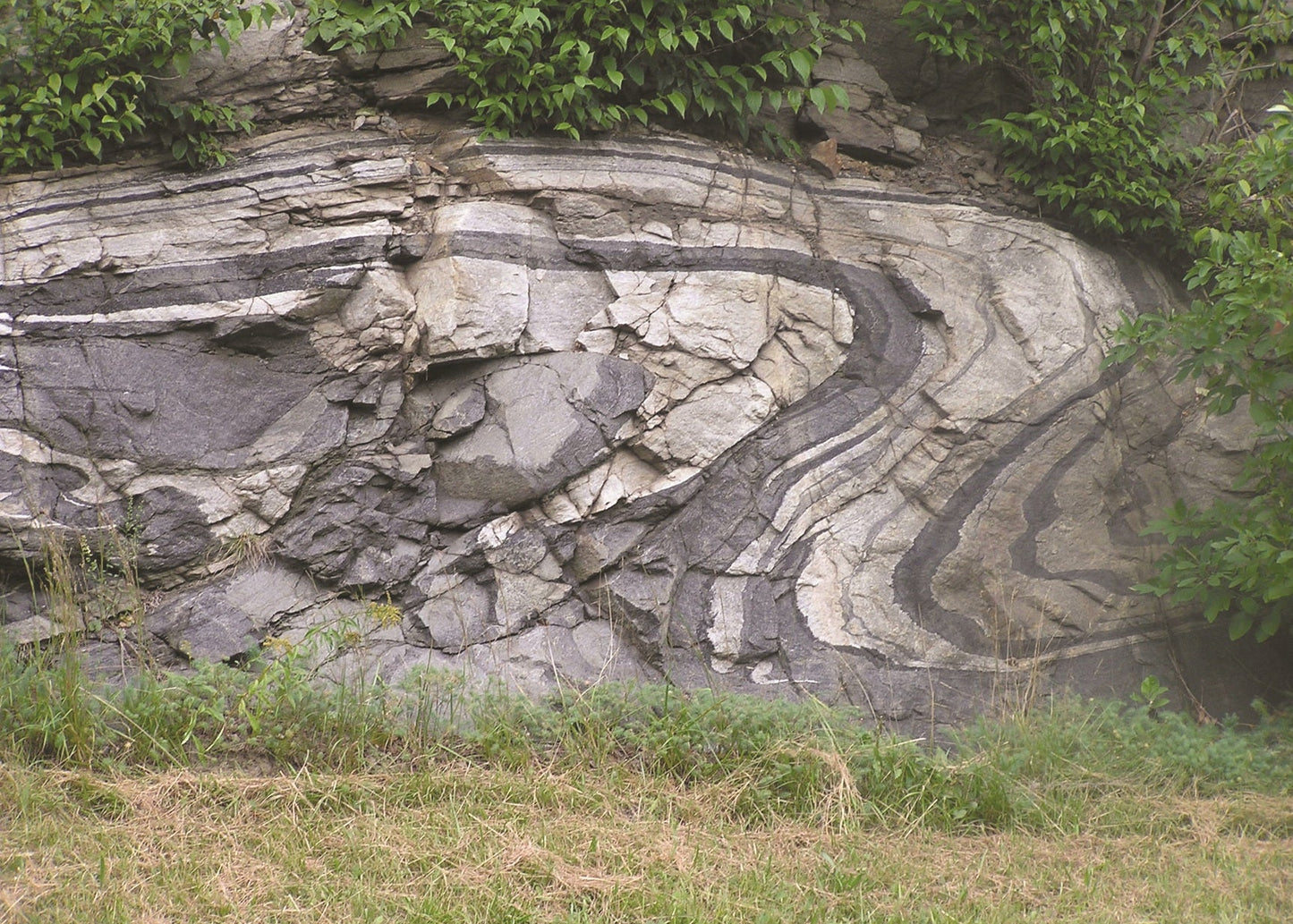 A close-up outdoor view of a layered rock formation with gray and white strata, green foliage growing on top, and grass in the foreground.