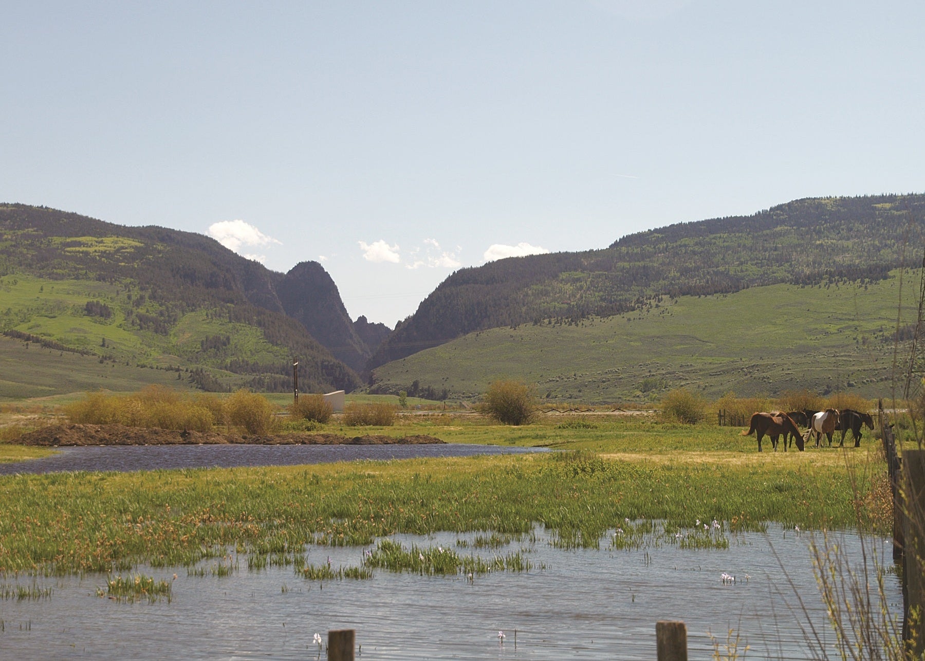 Horses grazing near Gore Range Canyon