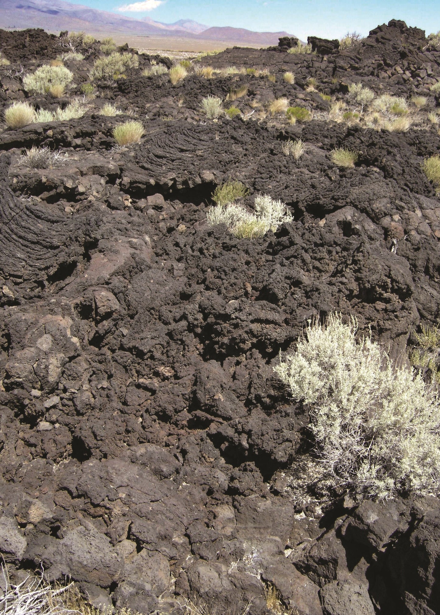 A natural landscape scene showing dark volcanic rock terrain with scattered sagebrush and distant mountains under a blue sky. Death Valley, California 
