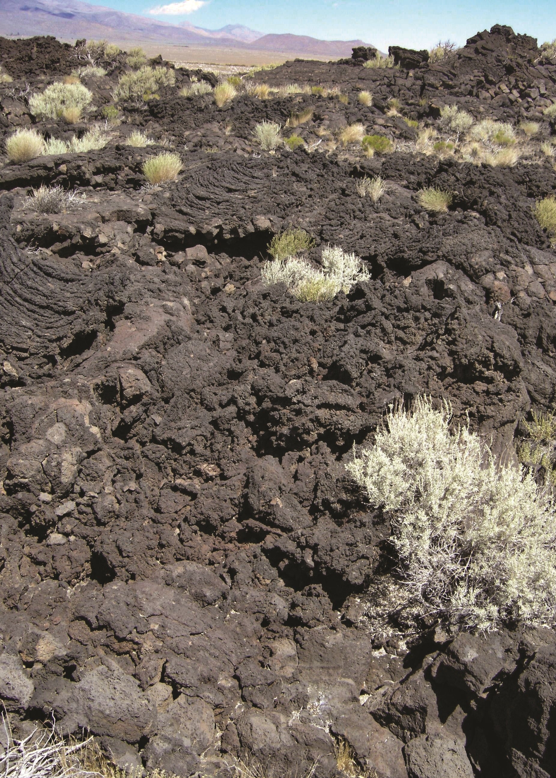 A natural landscape scene showing dark volcanic rock terrain with scattered sagebrush and distant mountains under a blue sky. Death Valley, California 