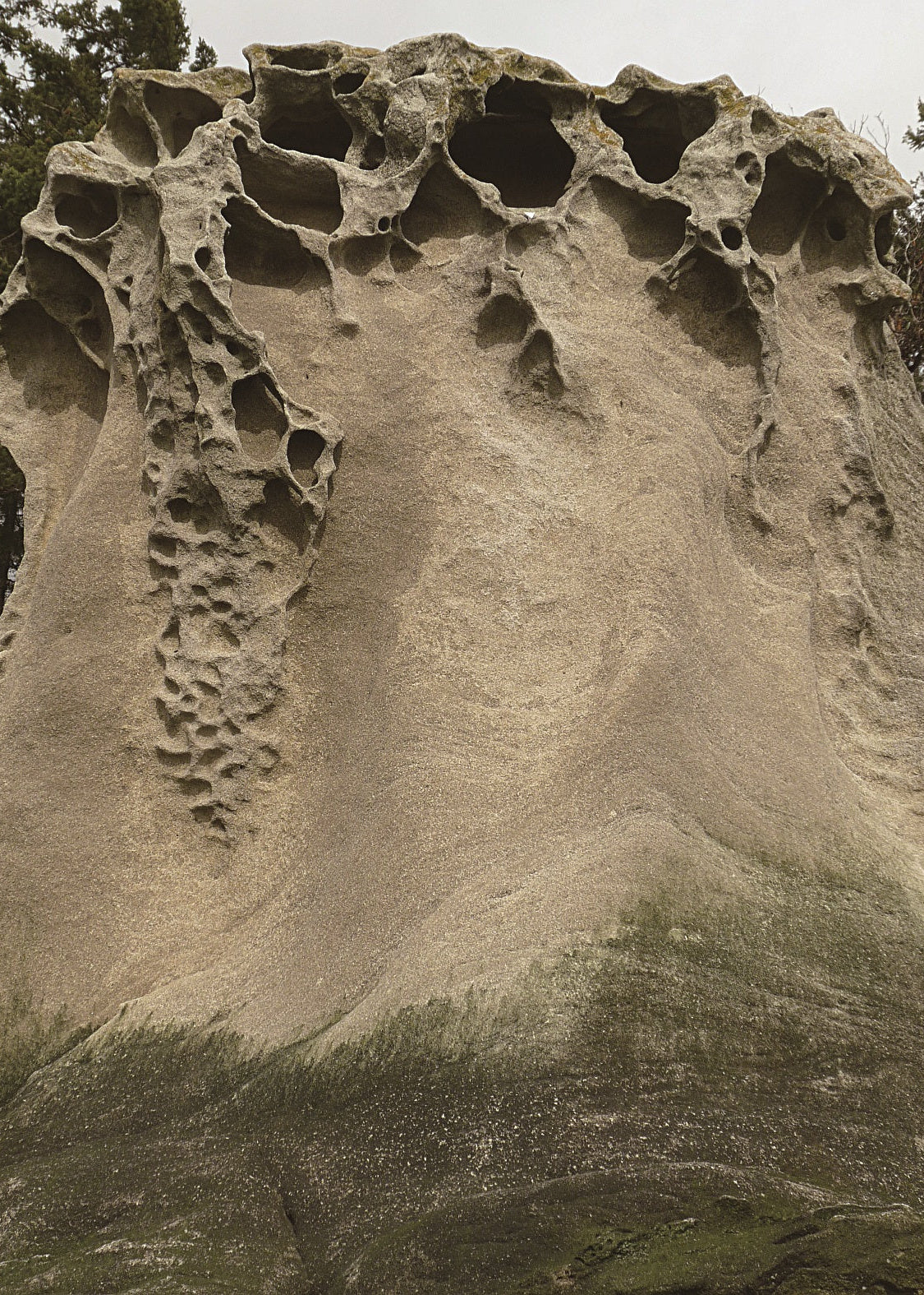 Close-up of a textured sandstone formation with intricate patterns, Clayton Beach, Washington 