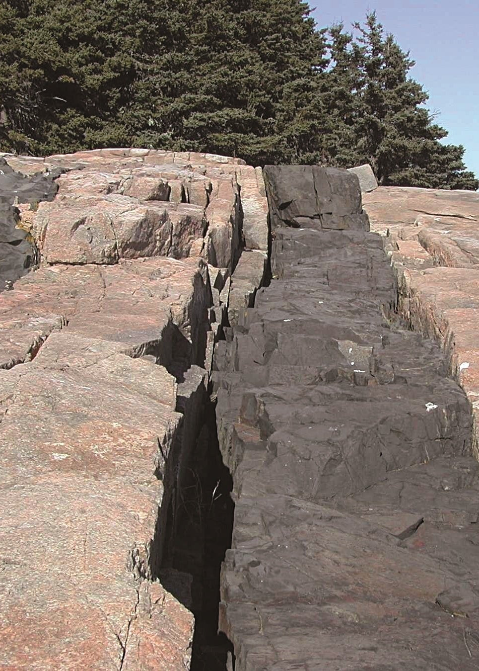 Rocks with a clear sky and trees in the background, Schoodic Point Maine