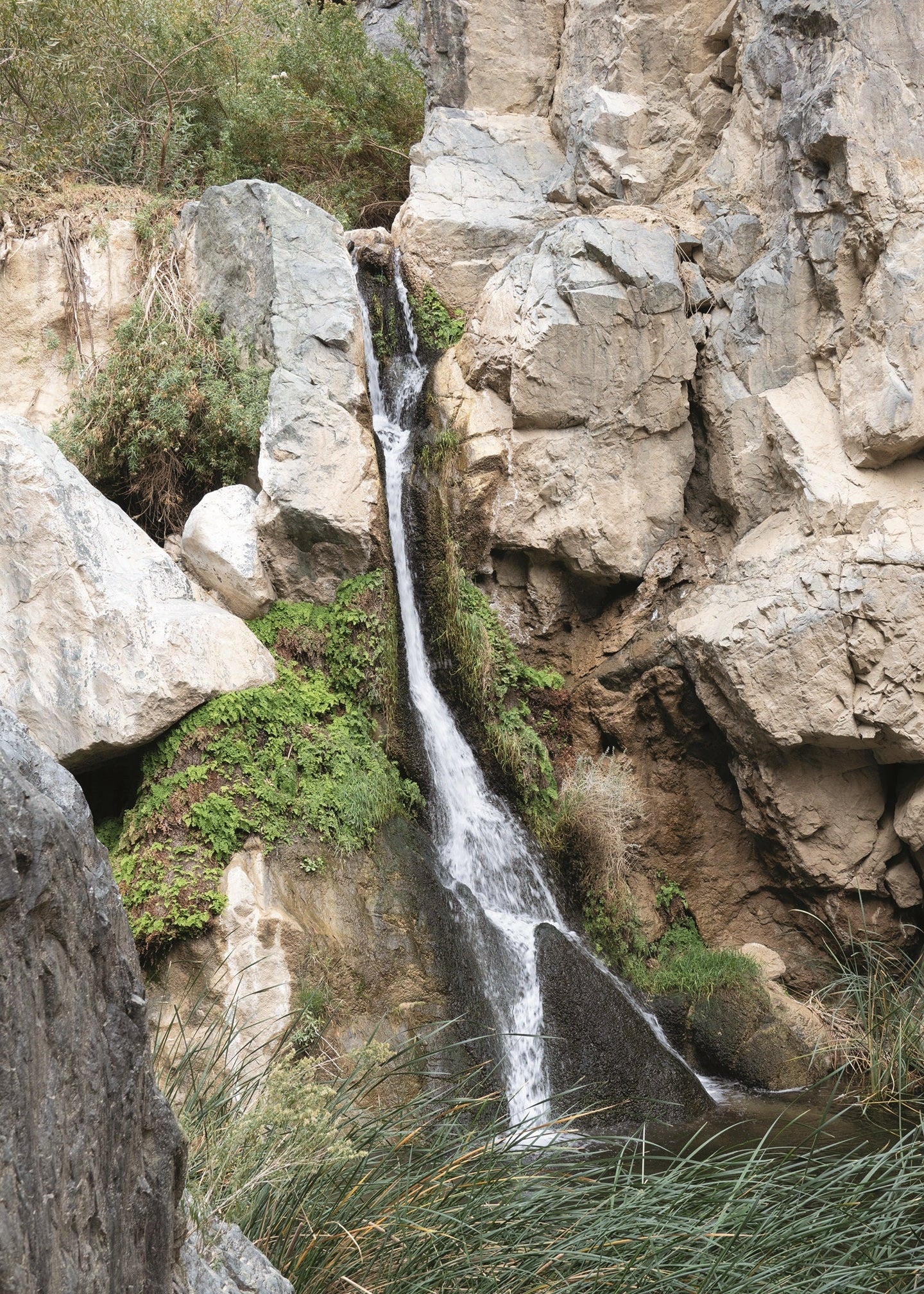 Waterfall flowing through rocky terrain with greenery. Darwin, Death Valley, California 
