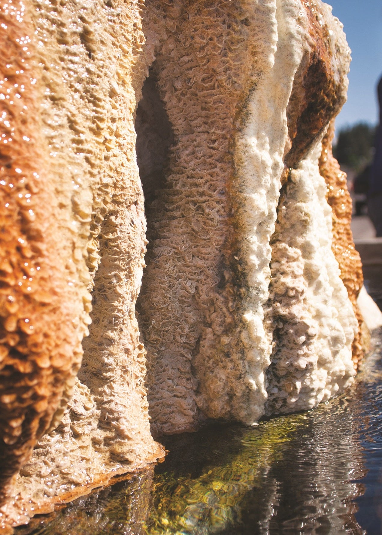 Fragile and constantly changing ripples on the hot spring deposits form where water has flowed or dripped down the side of the spring. Pagosa Springs Coloraod 