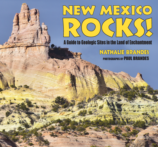 New Mexico Rocks!