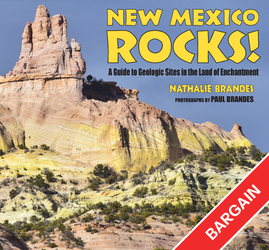 New Mexico Rocks!: A Guide to Geologic Sites in the Land of Enchantment (Bargain)