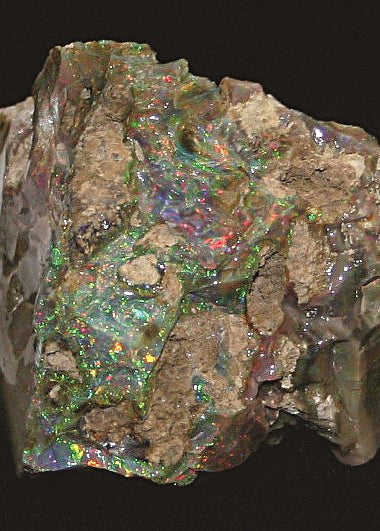 opal from the Virgin Valley, Nevada