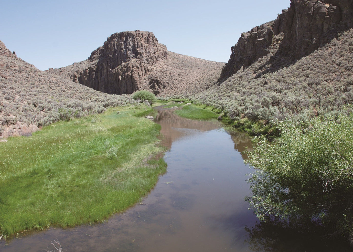 The spires of rock adjacent to the North Fork Humboldt River east of NV 225 are composed of the Miocene-age Jarbidge Rhyolite. Nevada 