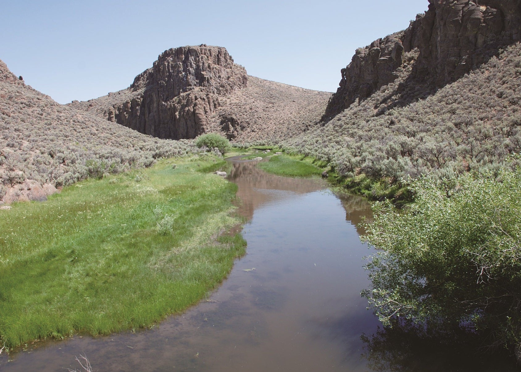 The spires of rock adjacent to the North Fork Humboldt River east of NV 225 are composed of the Miocene-age Jarbidge Rhyolite. Nevada 