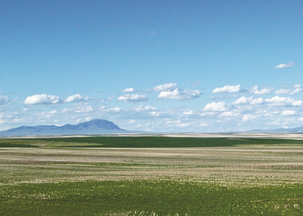 Sweetgrass Hills, Montana 