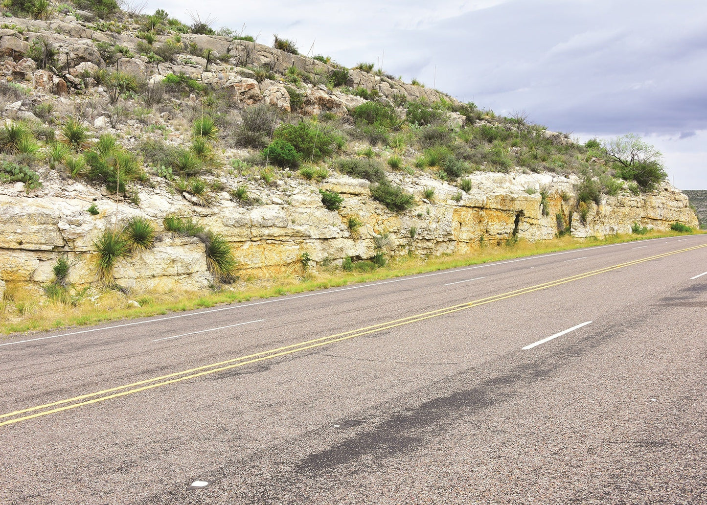 A large roadcut of Edwards Limestone, Texas, USA
