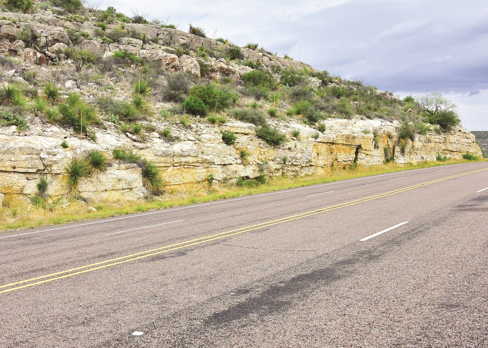 A large roadcut of Edwards Limestone, Texas, USA