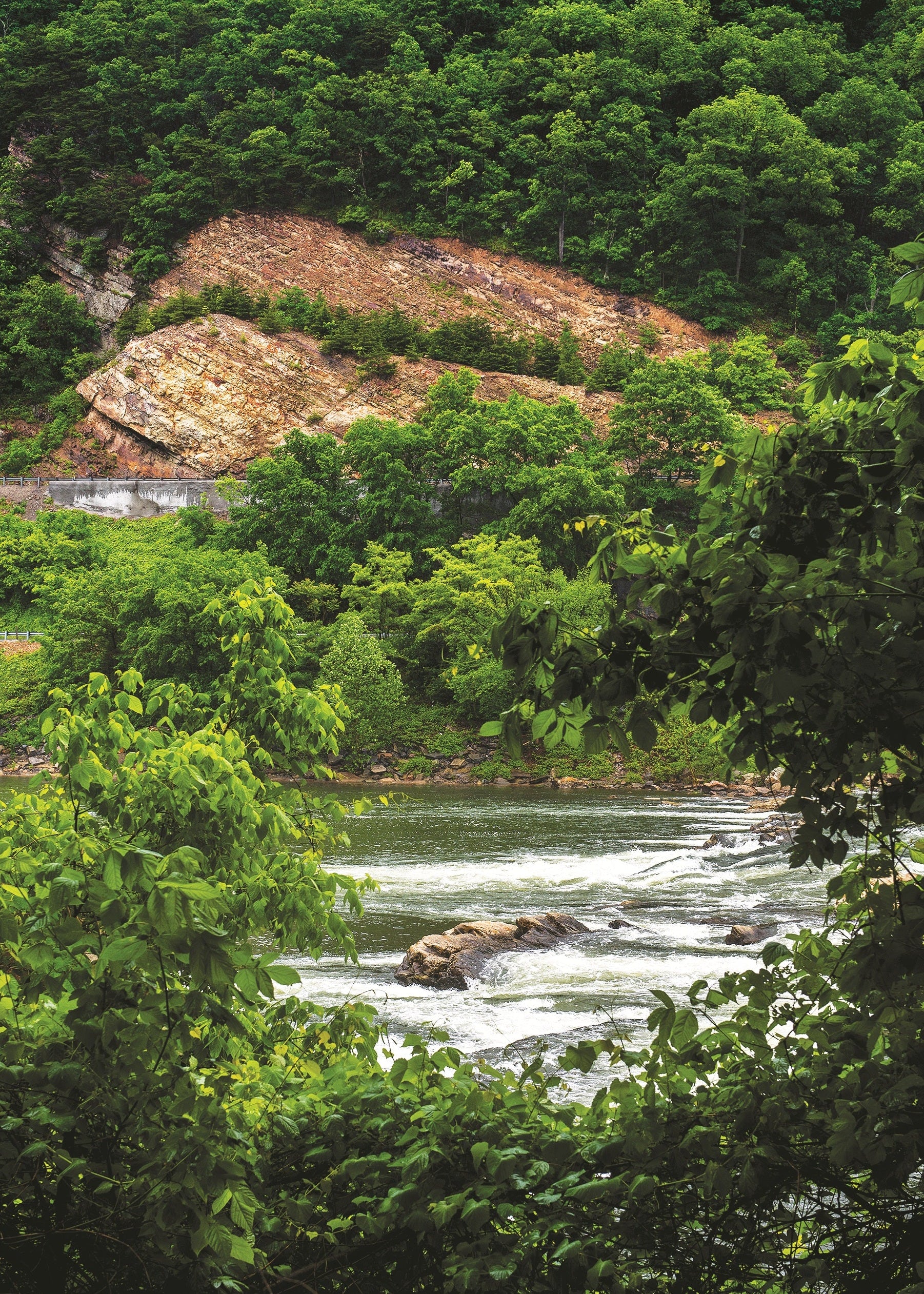 Rapids on a river with greenery and a rocky outcrop in the background, West Virginia