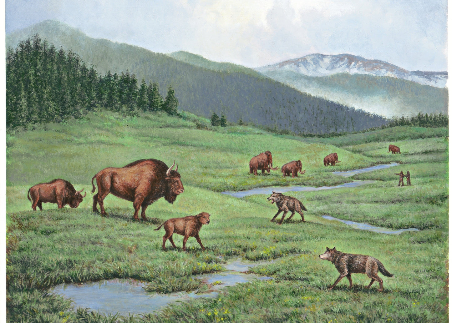 Scenic landscape with bison and wolves in a grassy field with mountains in the background