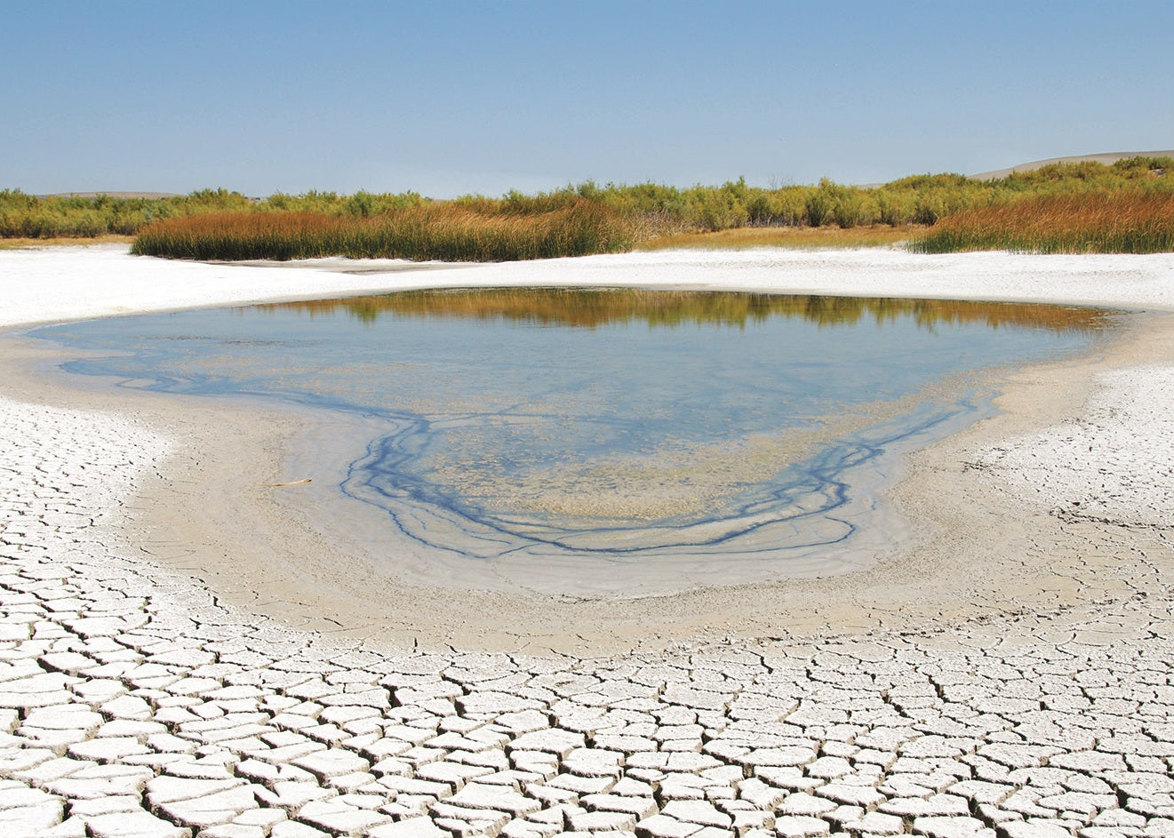 Drying pool, Bruneau, Idaho