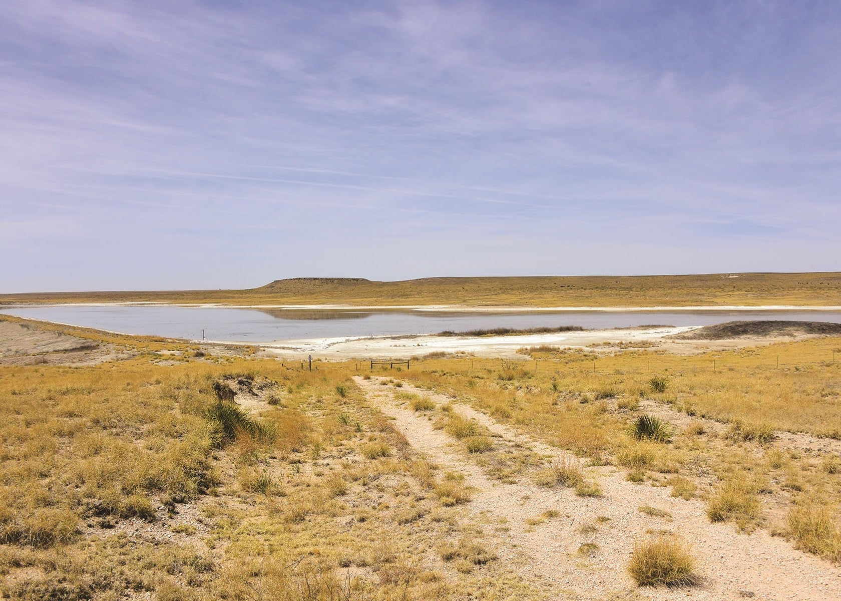 White Lake, Muleshoe Depression, Texas, USA