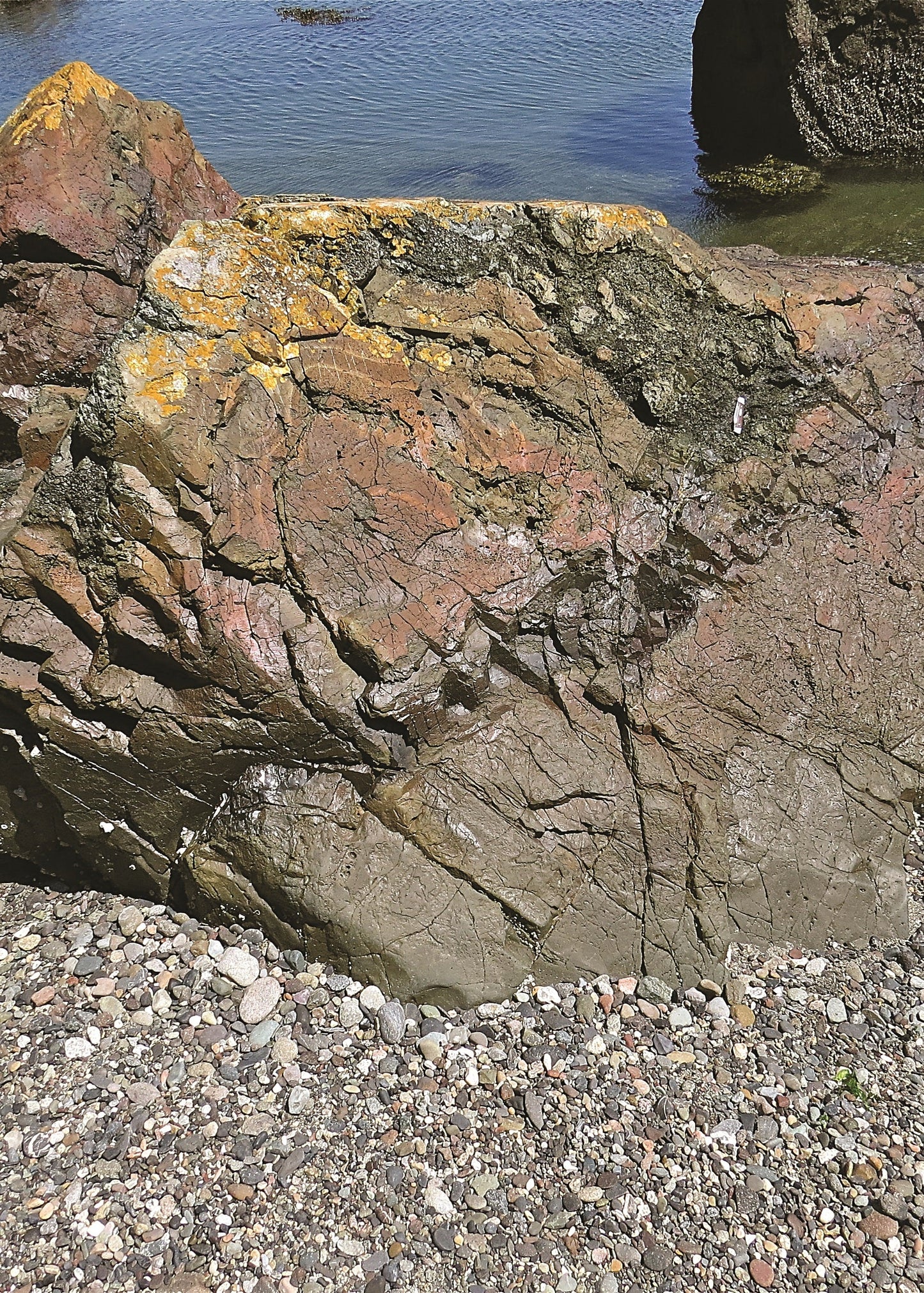 Close-up of a textured rock with a water background