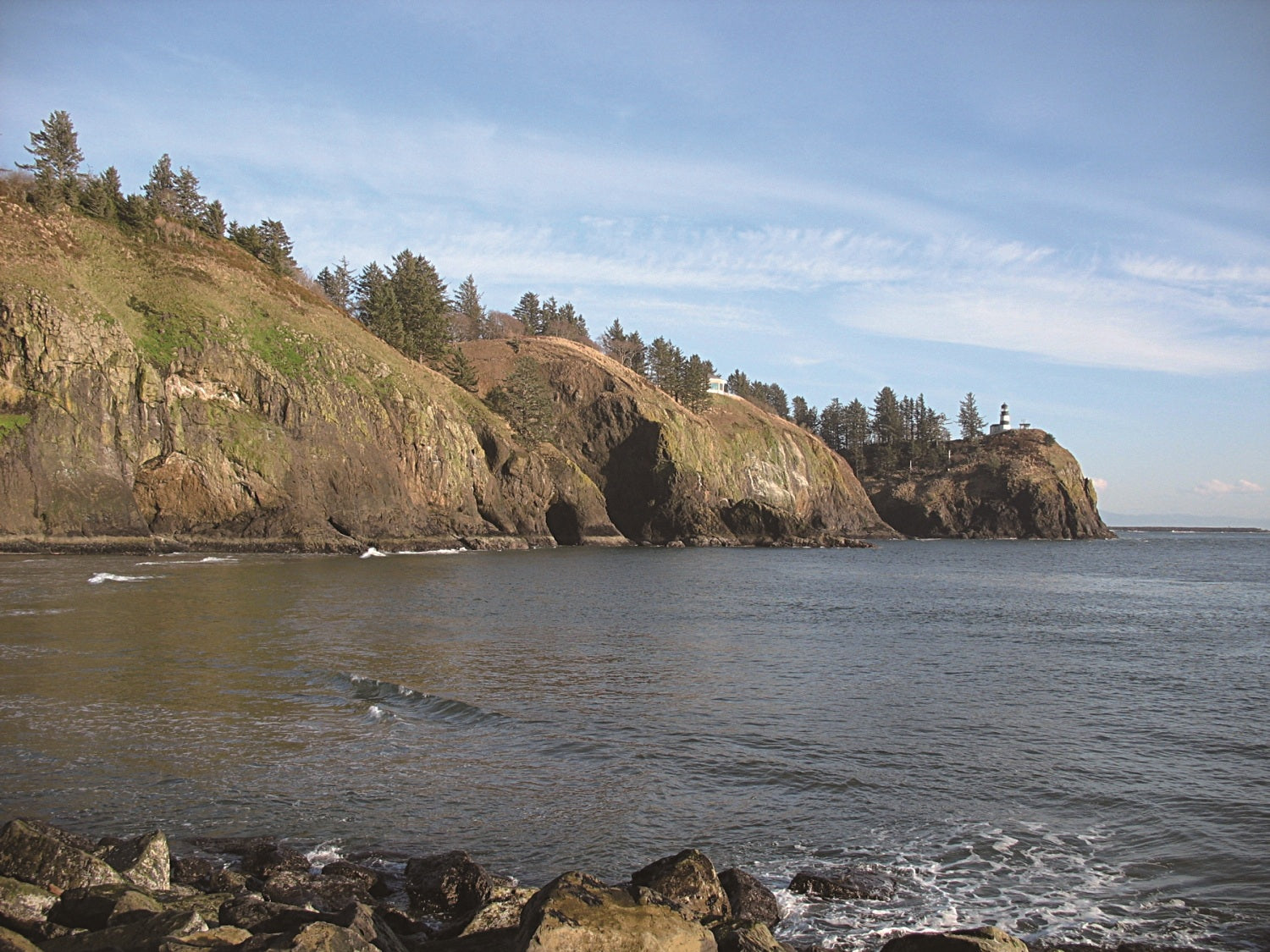 Coastal landscape with cliffs, trees, and ocean waves at Cape Disappointment, Washington 