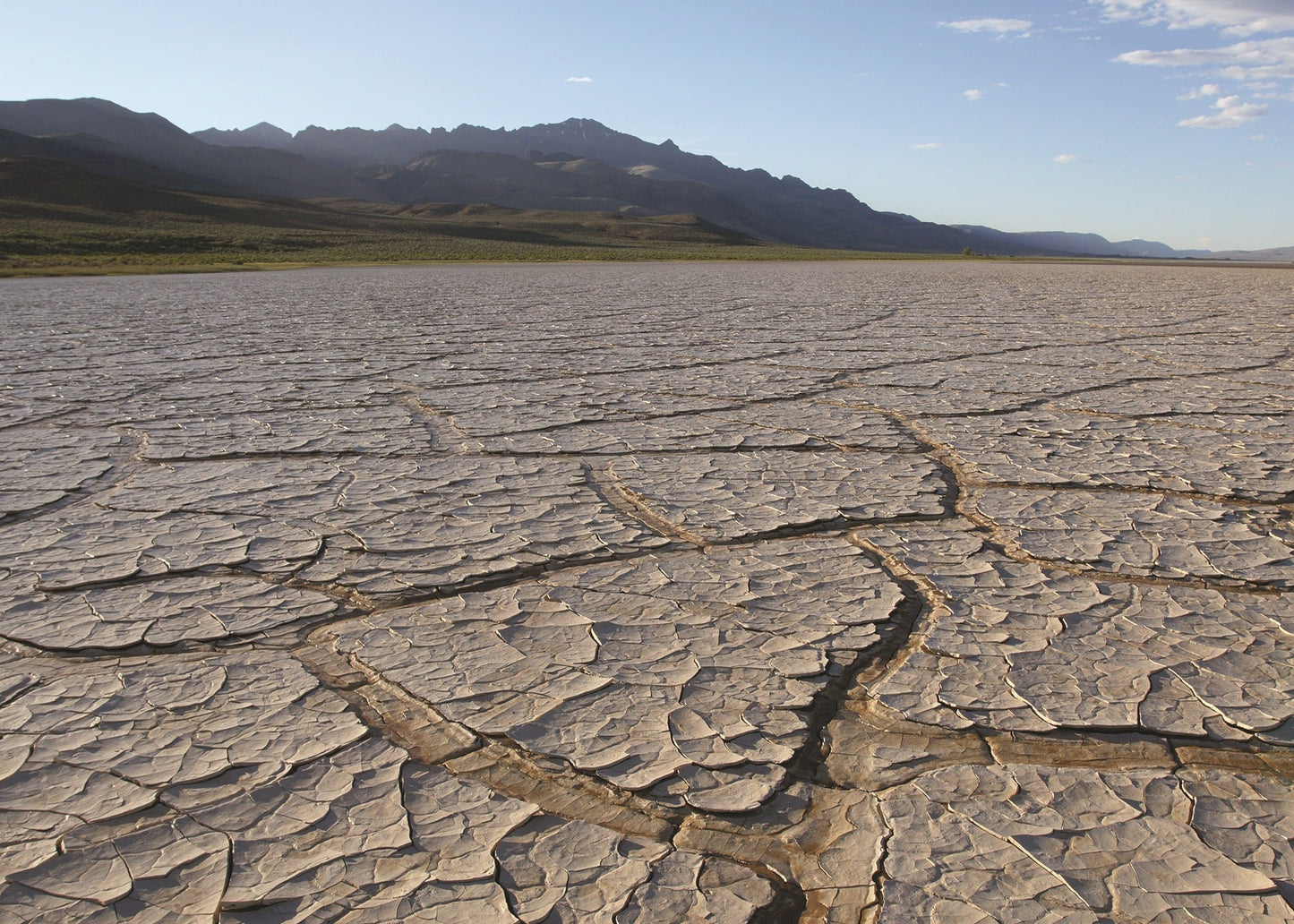 Mud-cracked clays of the Alvord Desert
with Steens Mountain in the distance.