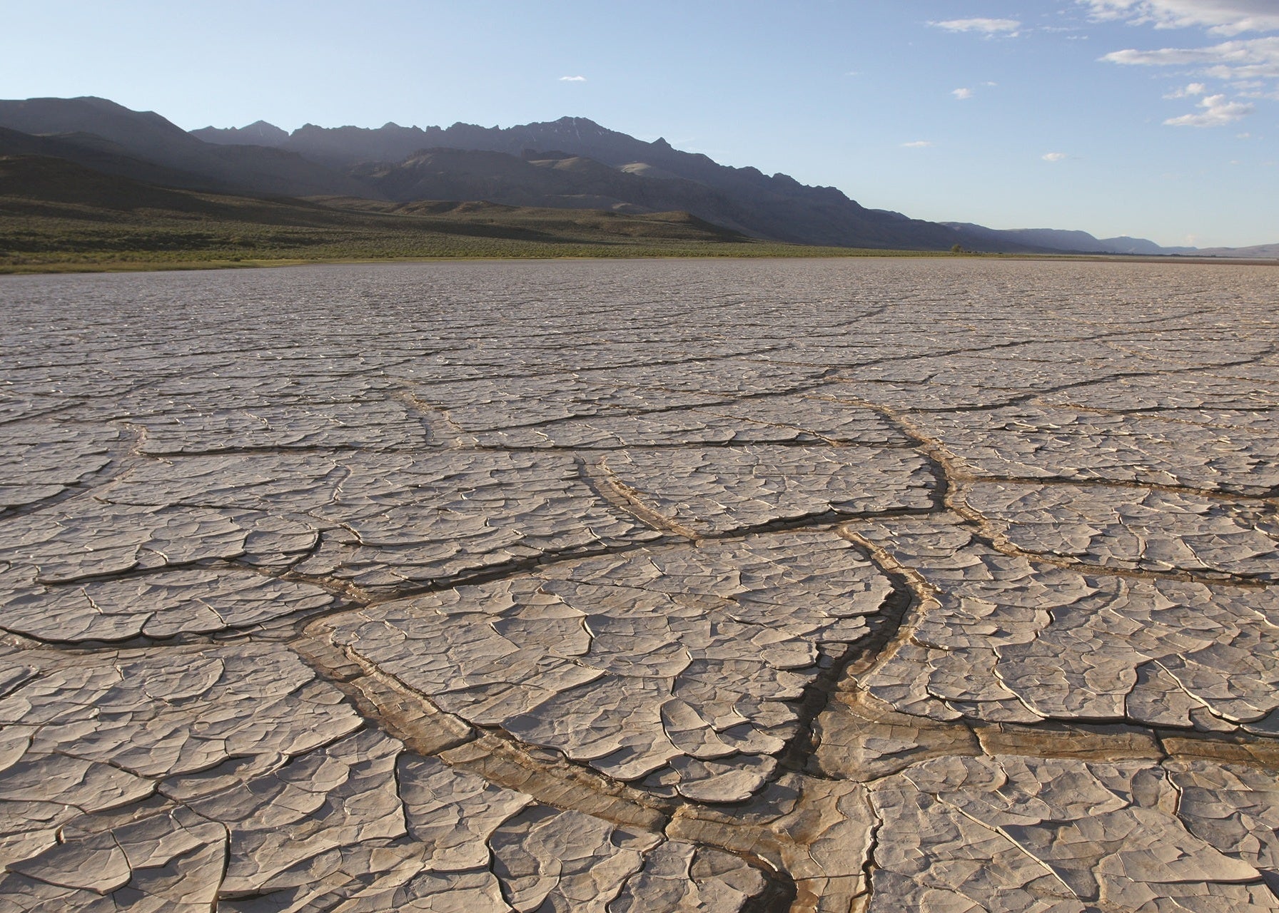 Mud-cracked clays of the Alvord Desert
with Steens Mountain in the distance.
