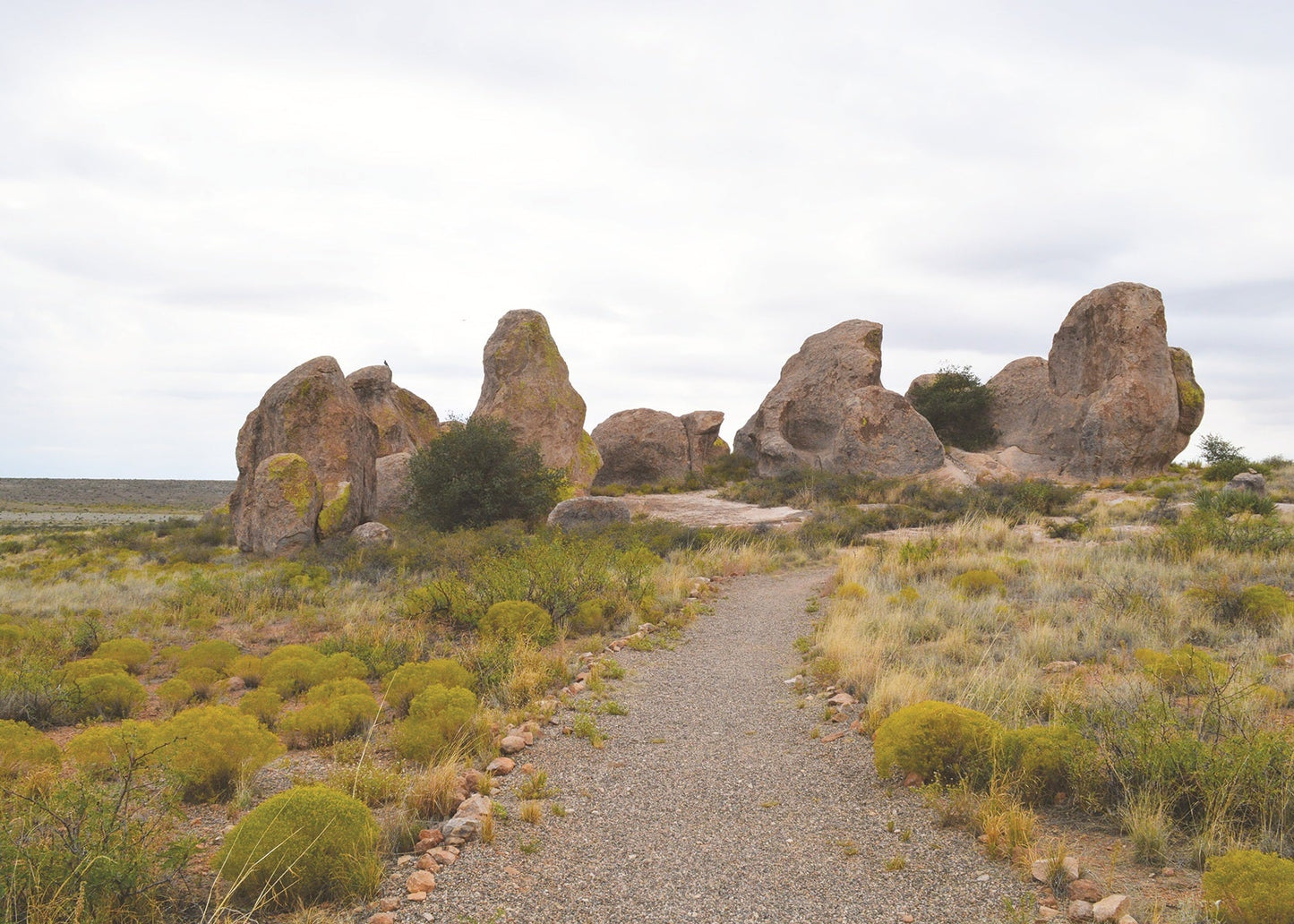 city of rocks, southern new mexico 