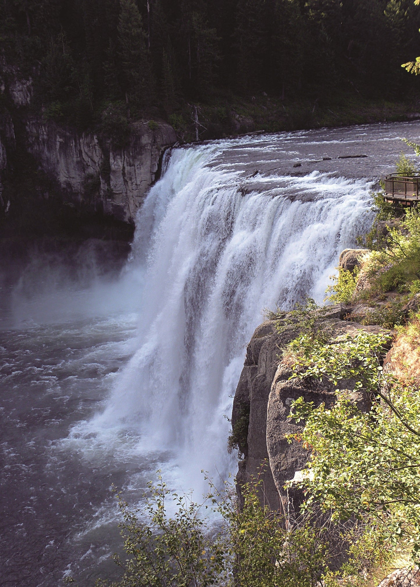 Waterfall cascading down a rocky cliff into a river, surrounded by trees and greenery. Yellowstone